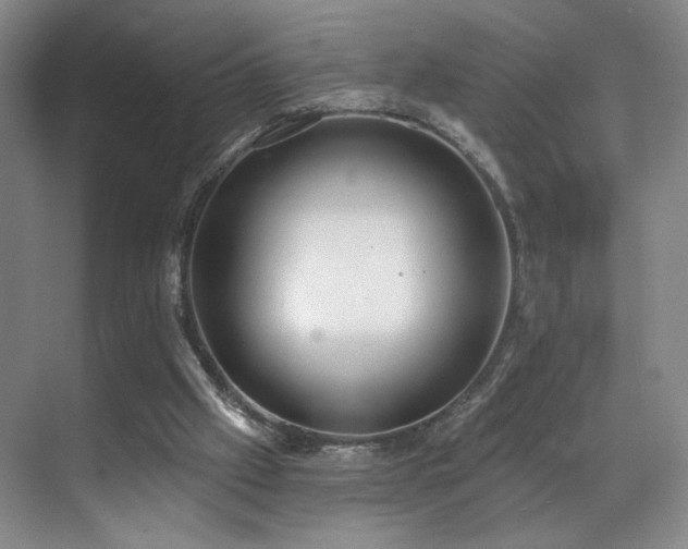 X0000070880057200606161213