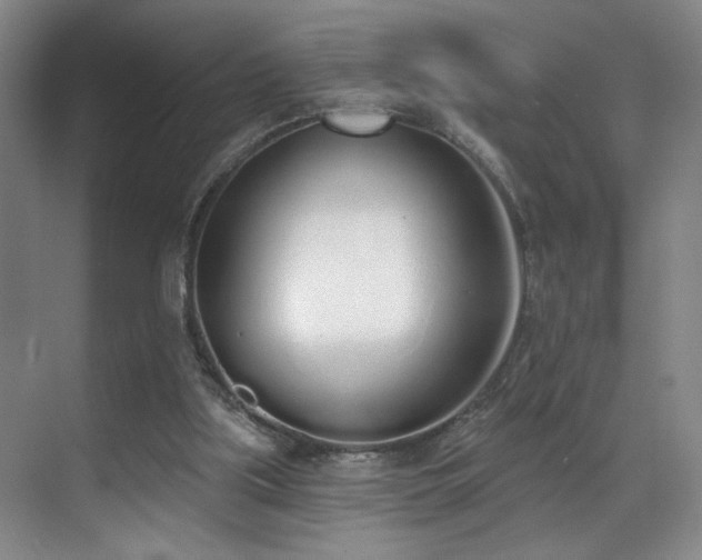 X0000070880059200606161213