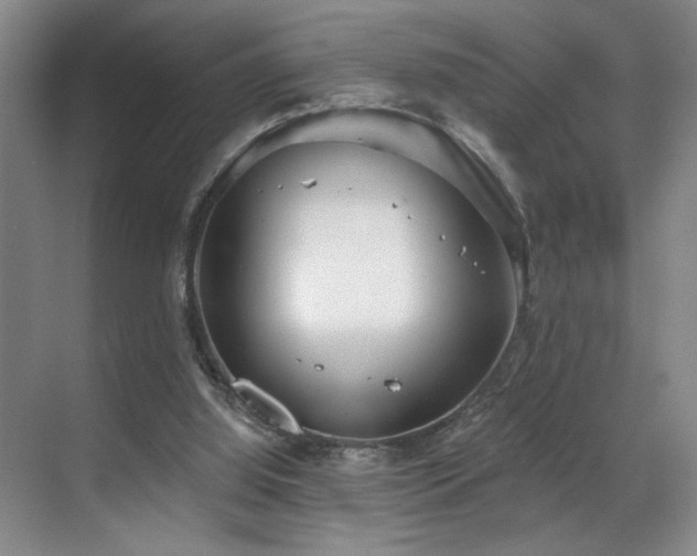 X0000070880060200606161213