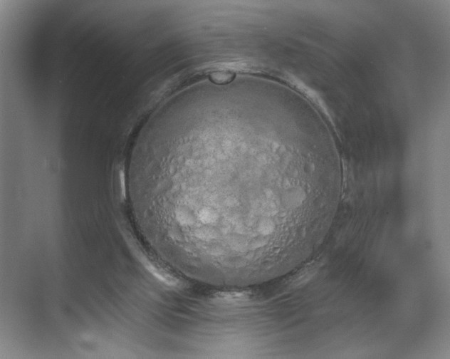 X0000070880061200606161213