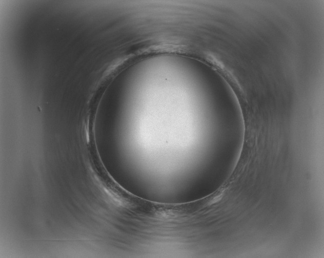 X0000070880062200606161213