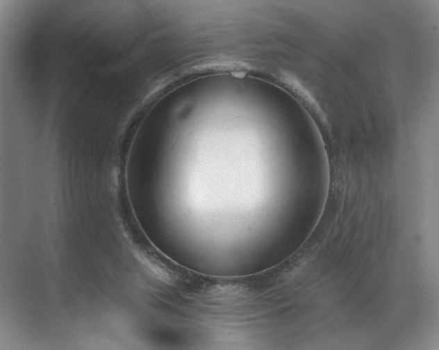 X0000070880063200606161213