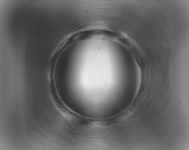 X0000070880064200606161213