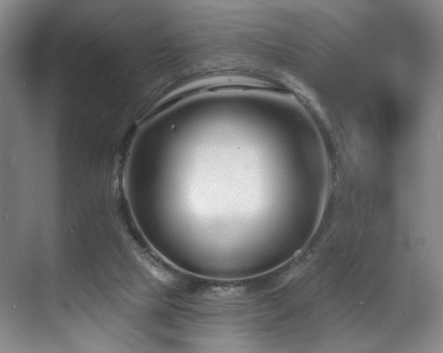 X0000070880065200606161213