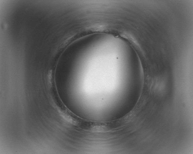 X0000070880066200606161213