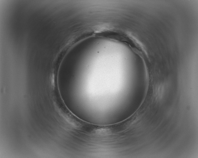 X0000070880067200606161213