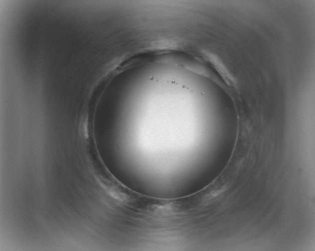 X0000070880068200606161213