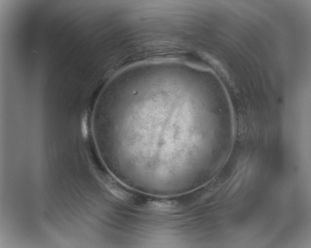 X0000070880069200606161213