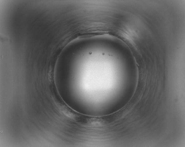 X0000070880073200606161213