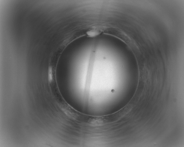 X0000070880075200606161213