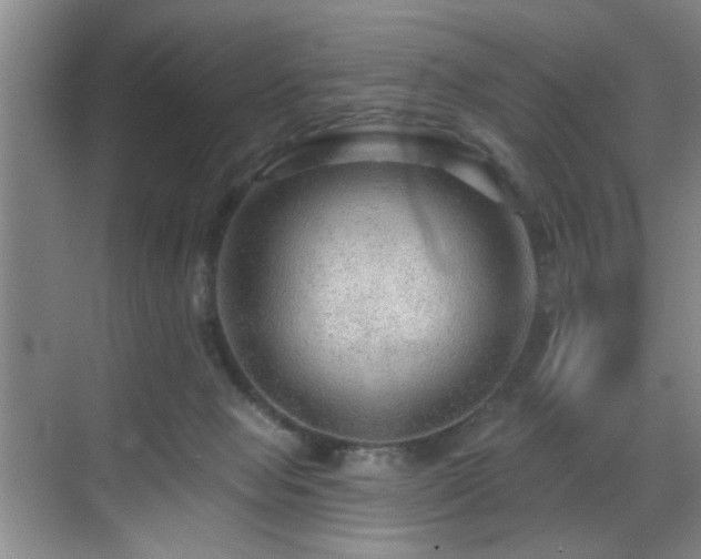 X0000070880077200606161213