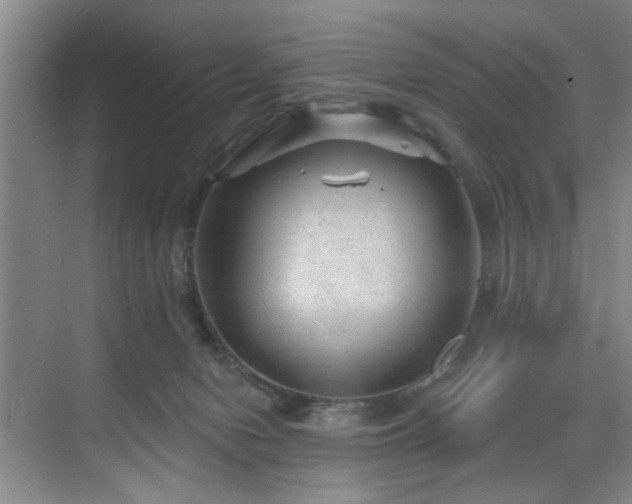 X0000070880078200606161213