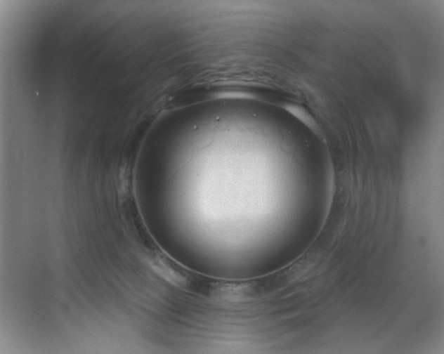 X0000070880081200606161214