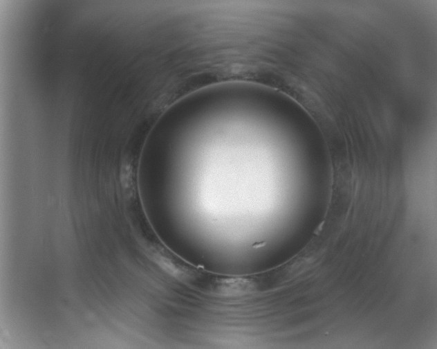 X0000070880087200606161214