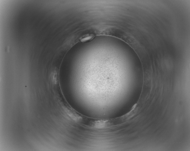 X0000070880090200606161214