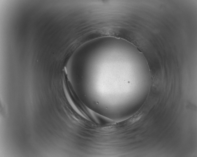 X0000070880095200606161214