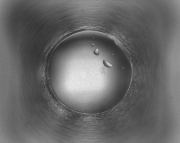 X0000070880098200606161213