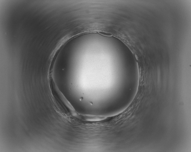 X0000070880099200606161213