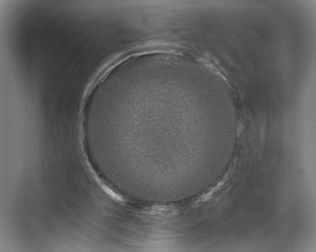 X0000070880101200606161213