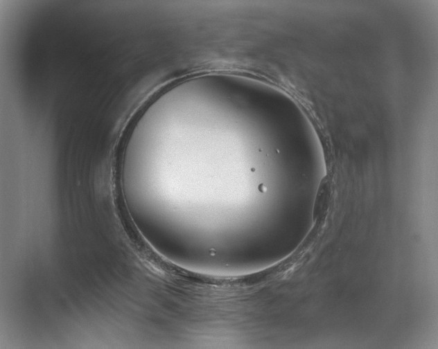 X0000070880103200606161213