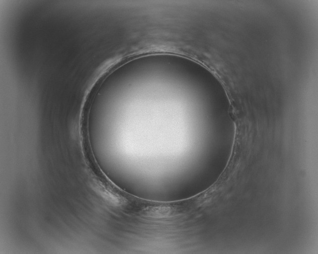 X0000070880104200606161213