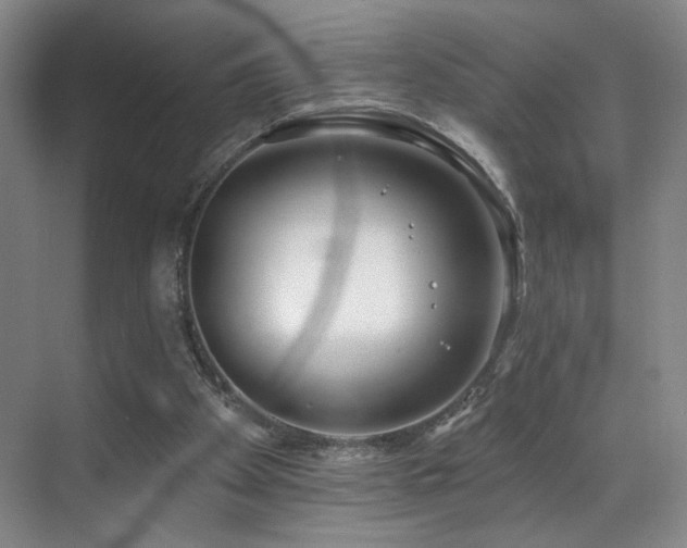 X0000070880105200606161213