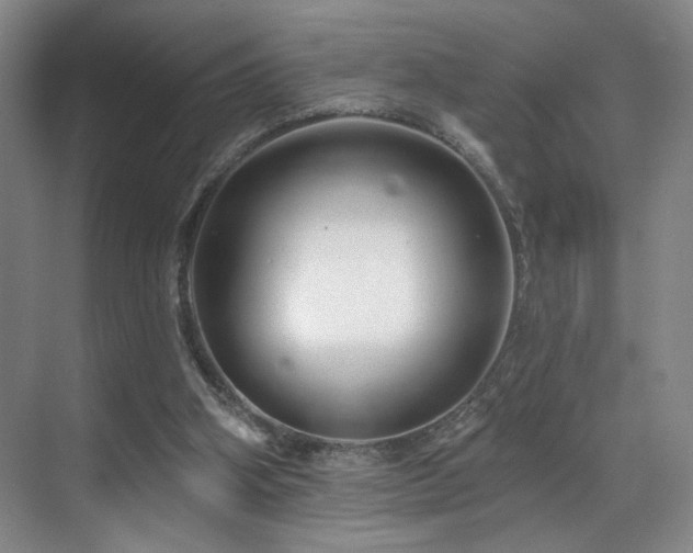 X0000070880106200606161213