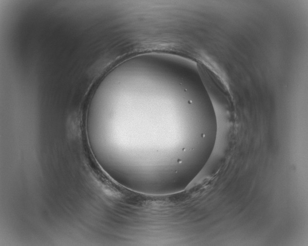 X0000070880107200606161213