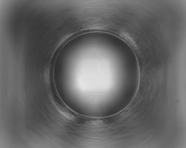 X0000070880108200606161213