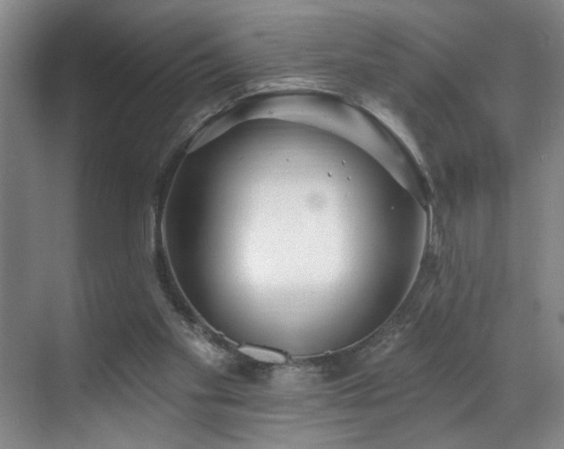 X0000070880109200606161213