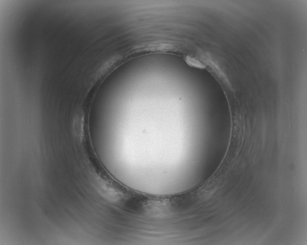 X0000070880110200606161213