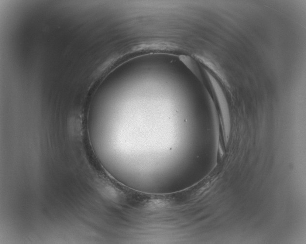 X0000070880111200606161213