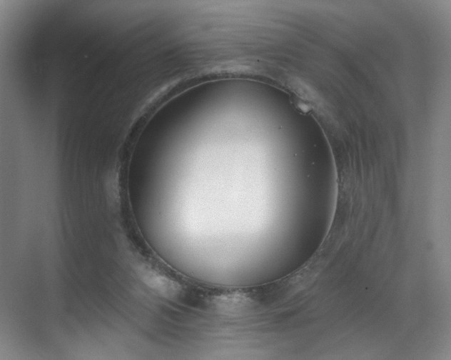 X0000070880112200606161213