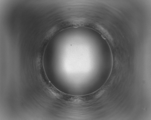 X0000070880113200606161213