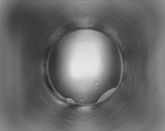 X0000070880114200606161213