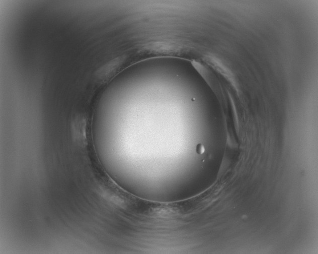 X0000070880115200606161213