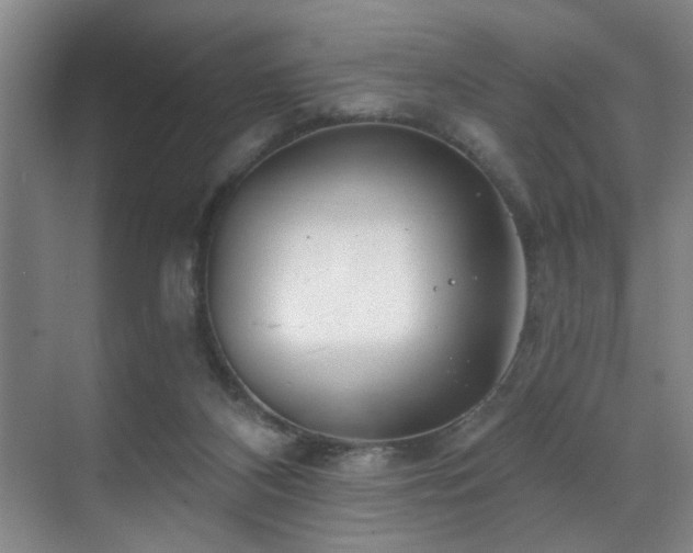 X0000070880116200606161213