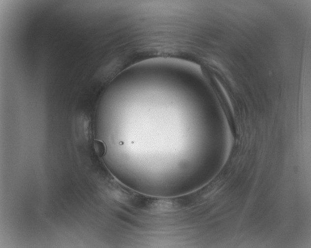 X0000070880123200606161213