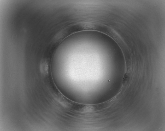 X0000070880124200606161213