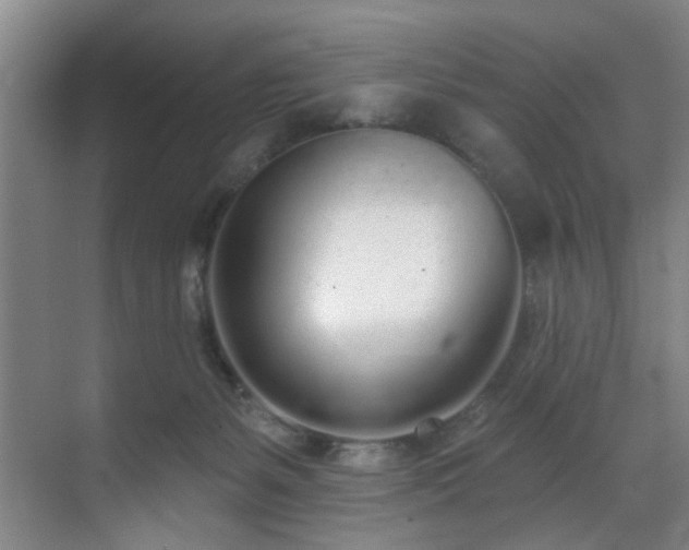 X0000070880127200606161212