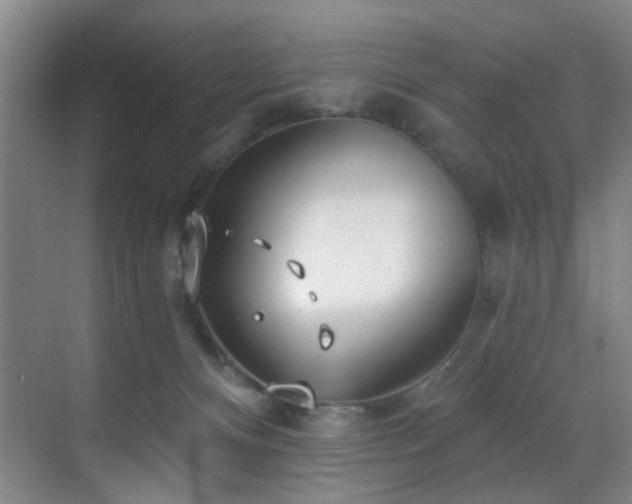 X0000070880128200606161212