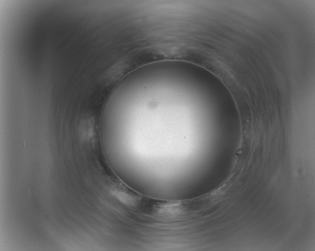 X0000070880132200606161212