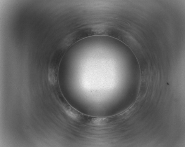 X0000070880136200606161212