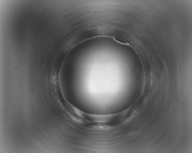 X0000070880137200606161212