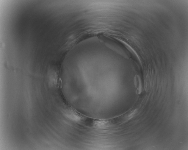 X0000070880139200606161212