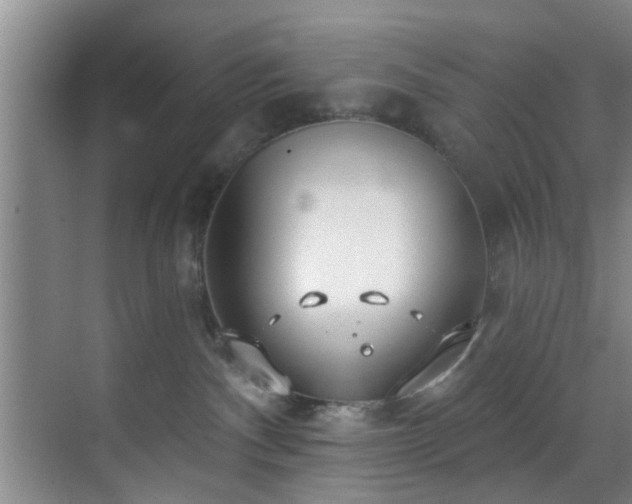 X0000070880140200606161212