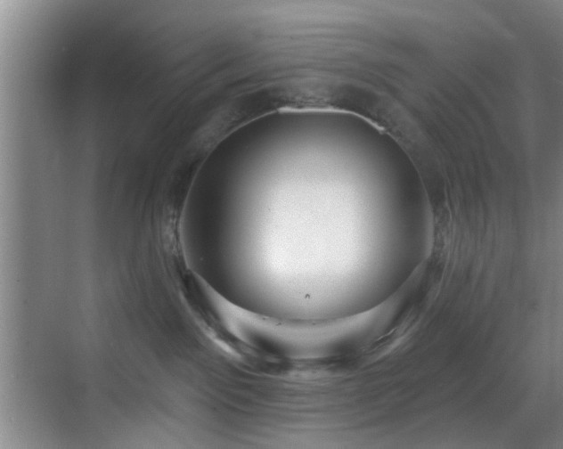 X0000070880141200606161212