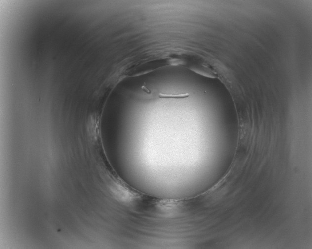 X0000070880142200606161212