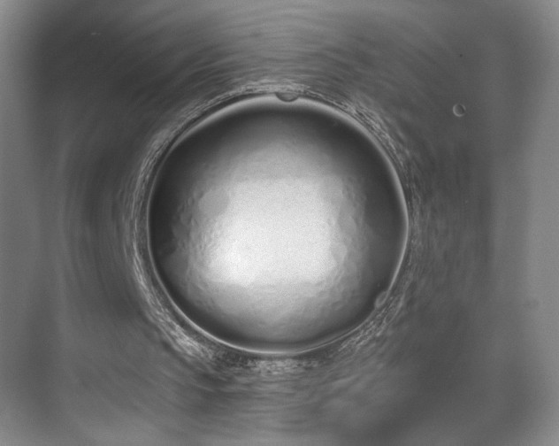 X0000070880145200606161211