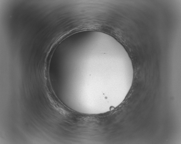 X0000070880146200606161211